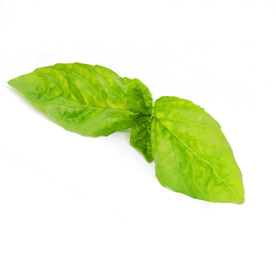 basil store pic 552