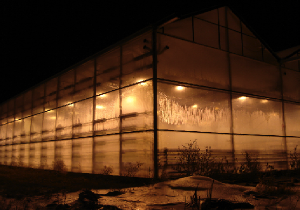 Winter at the Greenhouse