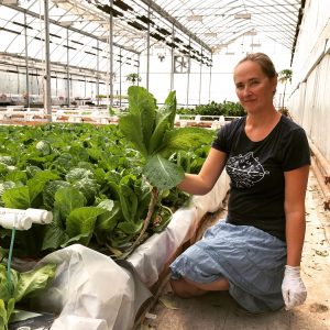Romaine Roots