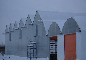 Year One WInter Scene